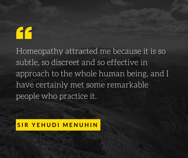 a quote from Yehudi Menuhin