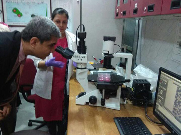 Dr Shah looking at virology lab equipment