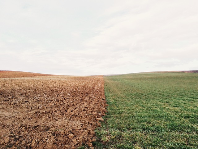 agro-homeopathy is useful to turn dry farmland into green fields