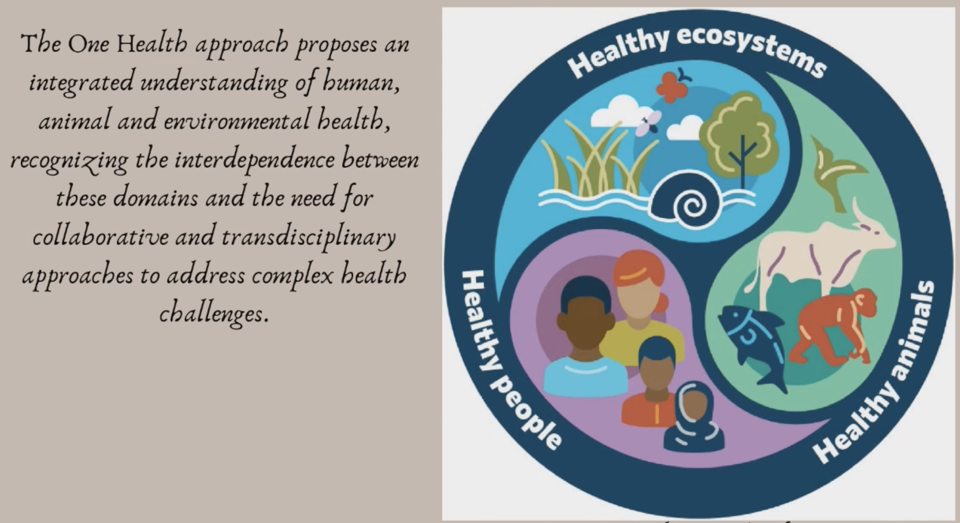 The One Health Approach